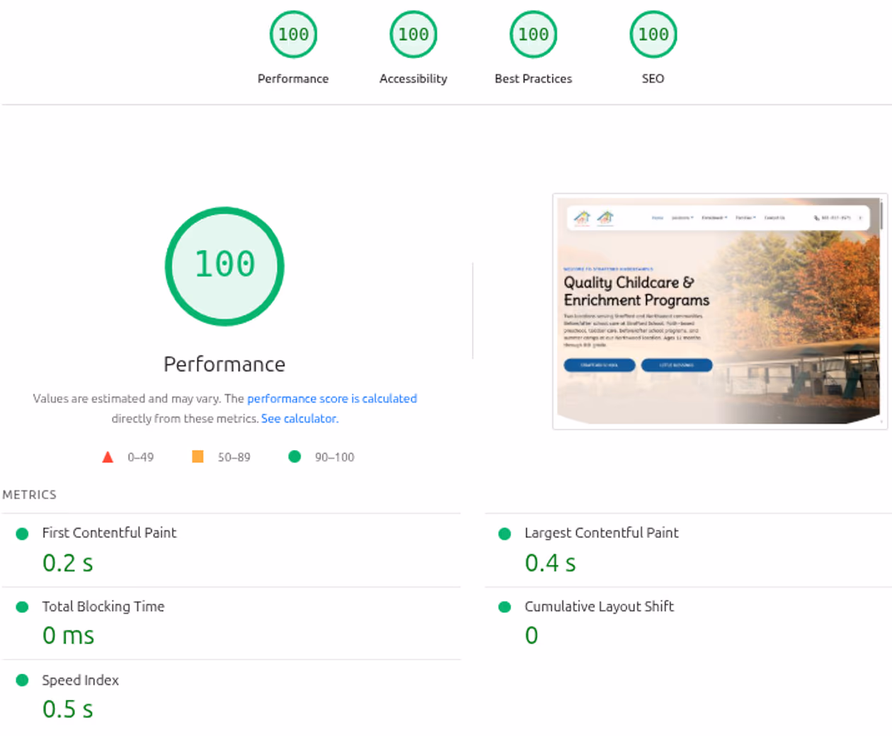 Website Speed and Performance Metrics showing 100 PageSpeed Score